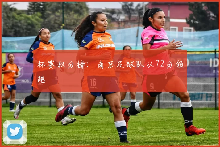 杯赛积分榜：南京足球队以72分领跑