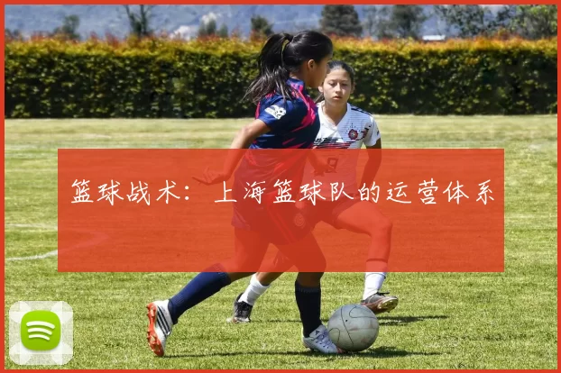篮球战术：上海篮球队的运营体系