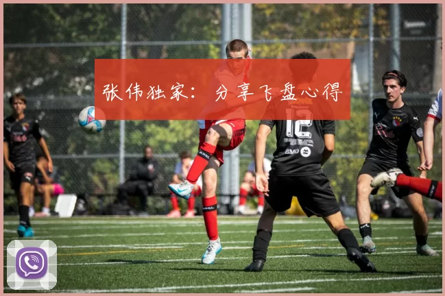 张伟独家：分享飞盘心得