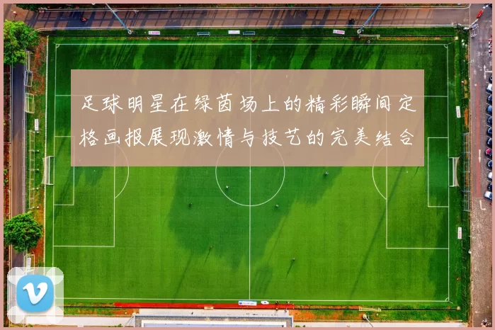 足球明星在绿茵场上的精彩瞬间定格画报展现激情与技艺的完美结合